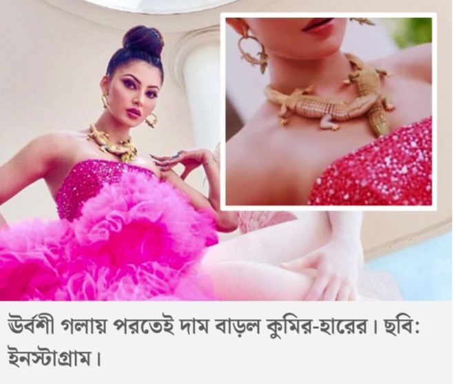 ঊর্বশীর গলায় জড়ানো কুমির-হার, একলাফে ২০০ কোটি থেকে দাম বেড়ে কত হল?